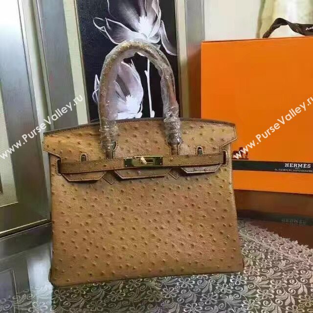 Hermes ostrich tan Birkin bag 5146