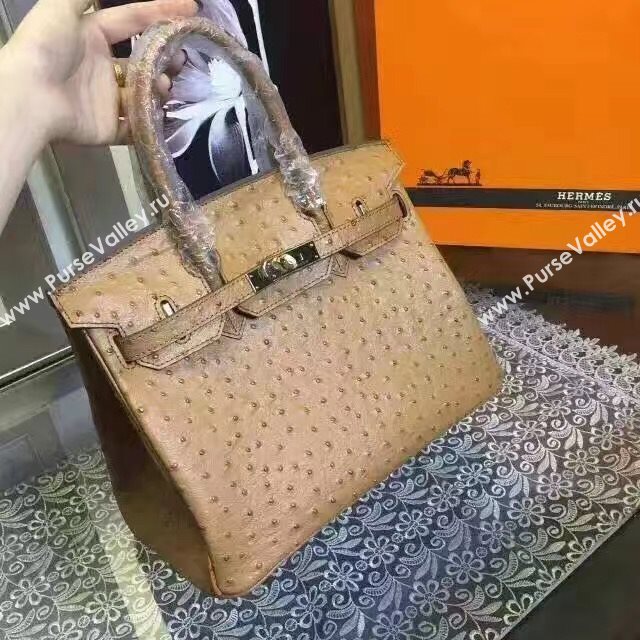 Hermes ostrich tan Birkin bag 5146