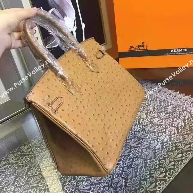 Hermes ostrich tan Birkin bag 5146