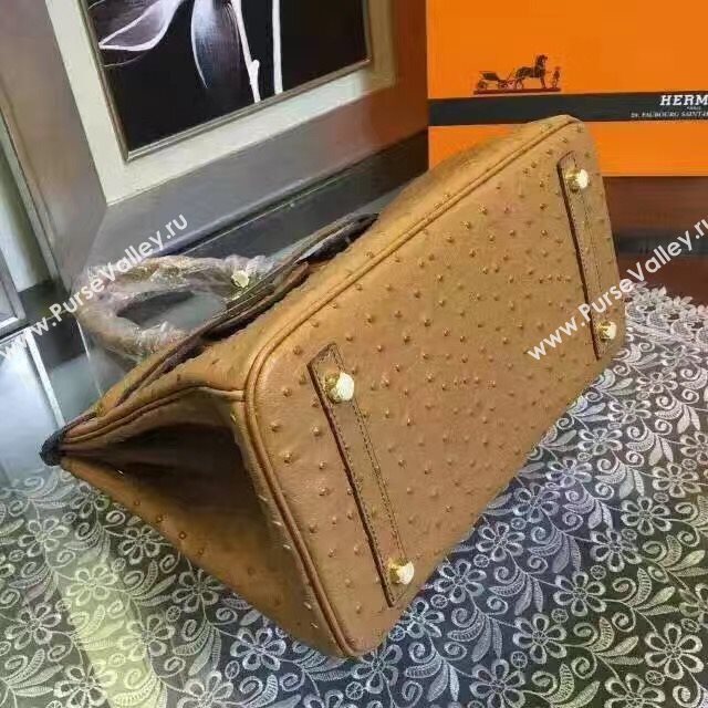 Hermes ostrich tan Birkin bag 5146