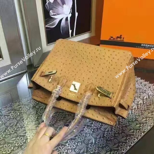 Hermes ostrich tan Birkin bag 5146