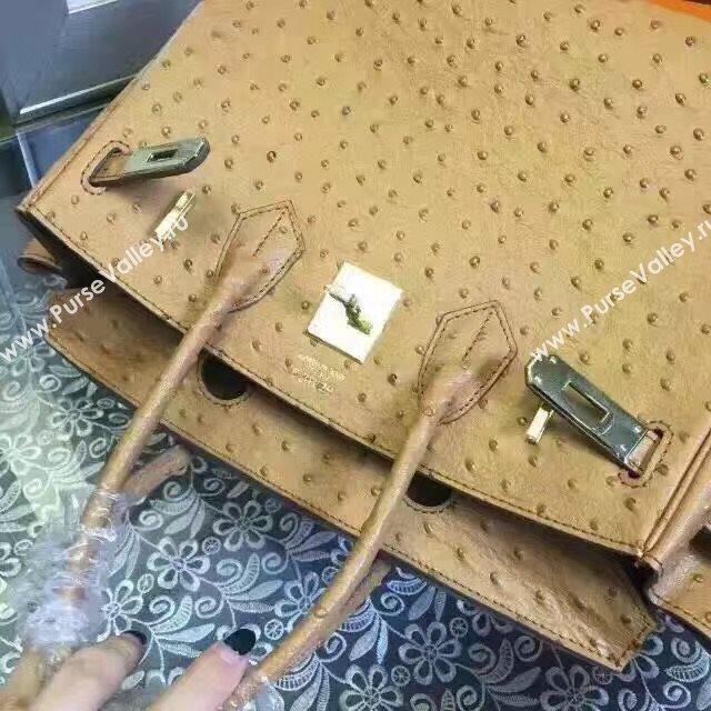 Hermes ostrich tan Birkin bag 5146