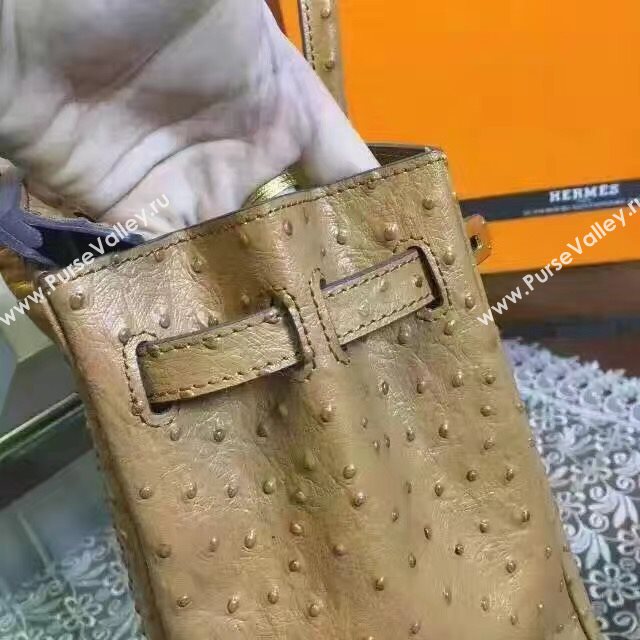 Hermes ostrich tan Birkin bag 5146