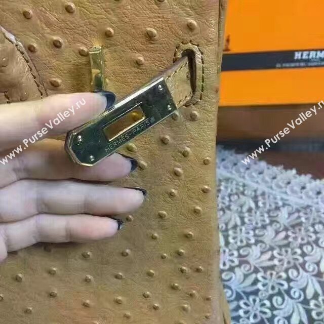 Hermes ostrich tan Birkin bag 5146