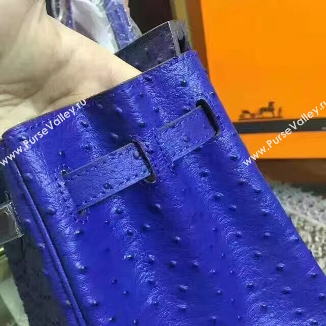 Hermes ostrich navy Birkin bag 5147