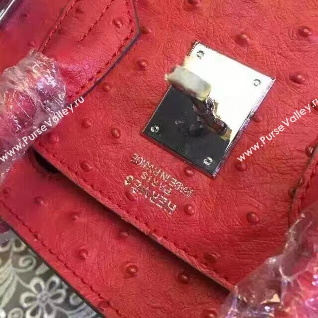 Hermes ostrich wine Birkin bag 5149