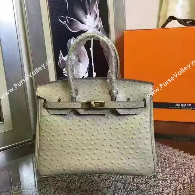 Hermes ostrich gray Birkin bag 5150