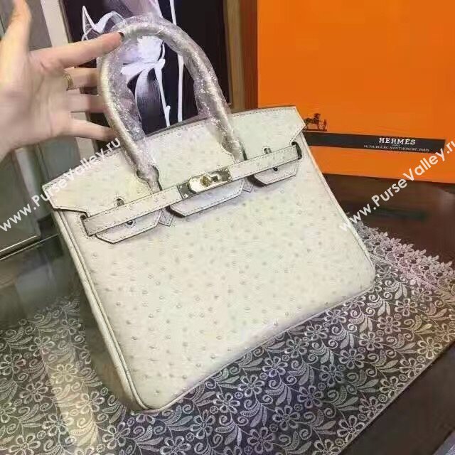 Hermes ostrich gray Birkin bag 5150