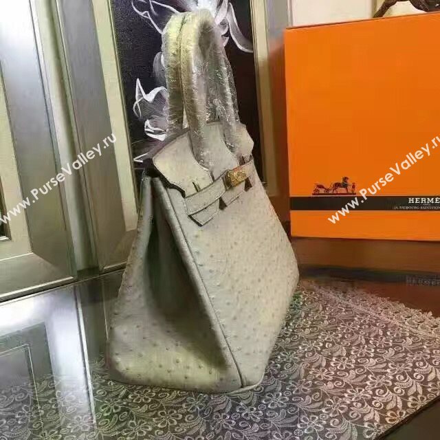 Hermes ostrich gray Birkin bag 5150