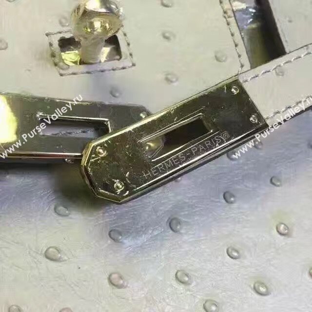 Hermes ostrich gray Birkin bag 5150
