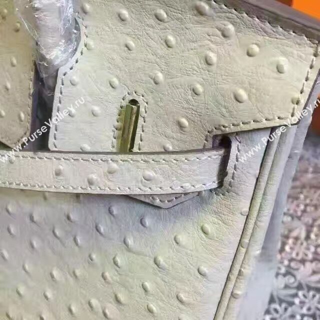 Hermes ostrich gray Birkin bag 5150