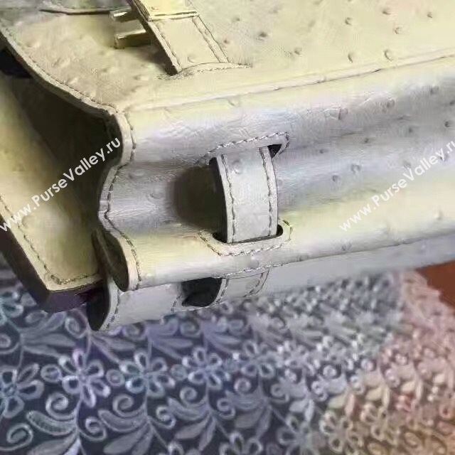 Hermes ostrich gray Birkin bag 5150