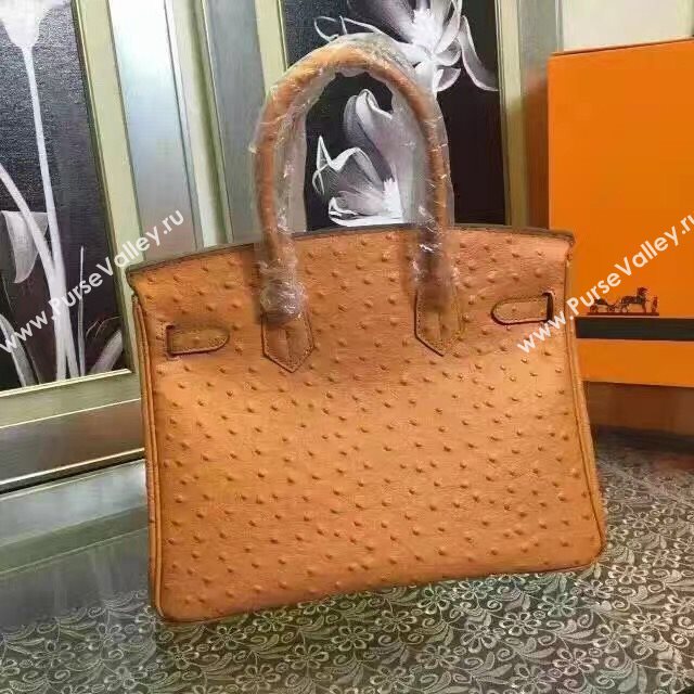 Hermes ostrich orange Birkin bag 5152