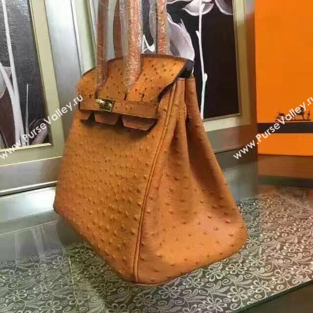 Hermes ostrich orange Birkin bag 5152