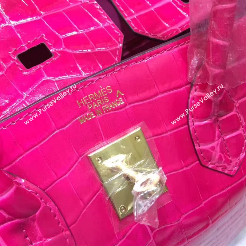 Hermes crocodile Birkin red paint bag 5241