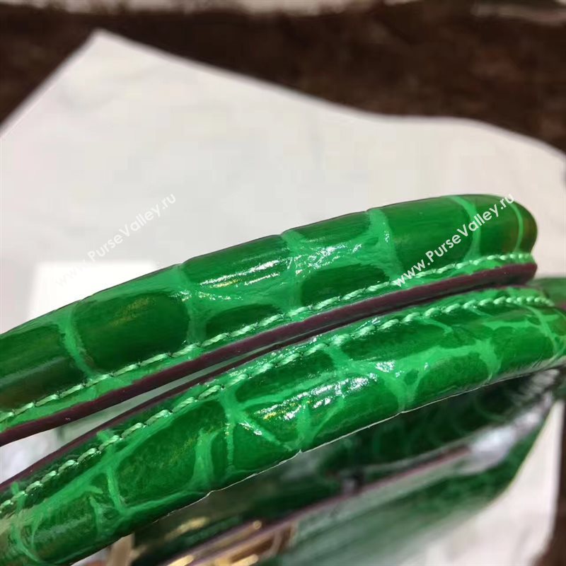 Hermes crocodile Birkin green paint bag 5245