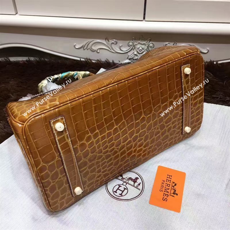 Hermes crocodile Birkin tan purple bag 5249