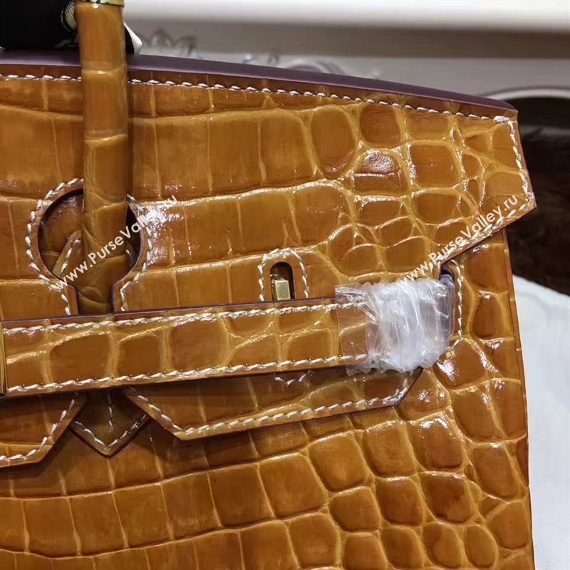 Hermes crocodile Birkin tan purple bag 5249