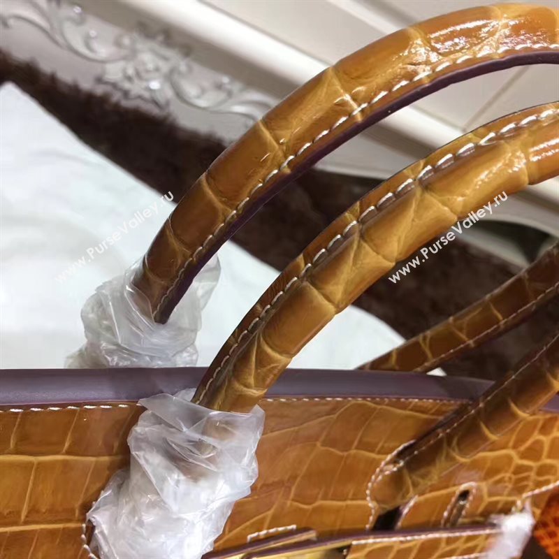 Hermes crocodile Birkin tan purple bag 5249