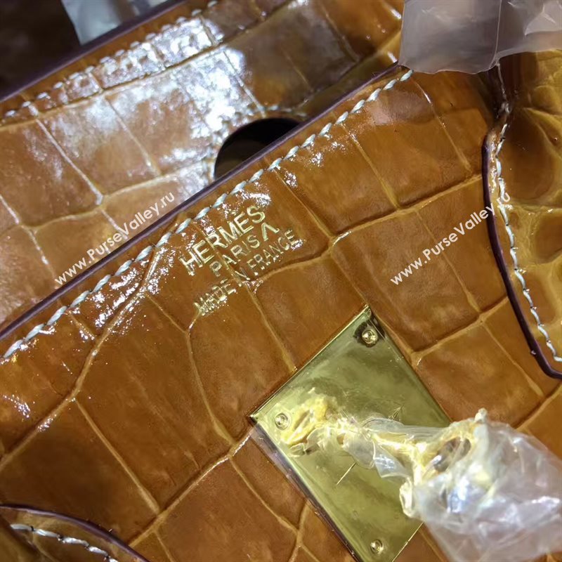 Hermes crocodile Birkin tan purple bag 5249