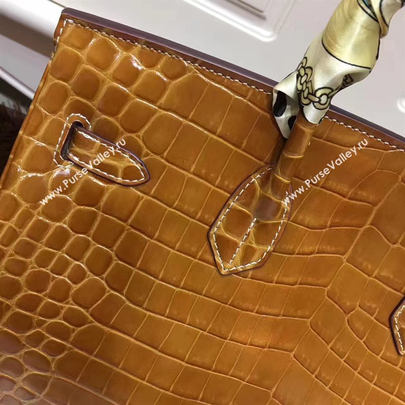 Hermes crocodile Birkin tan purple bag 5249