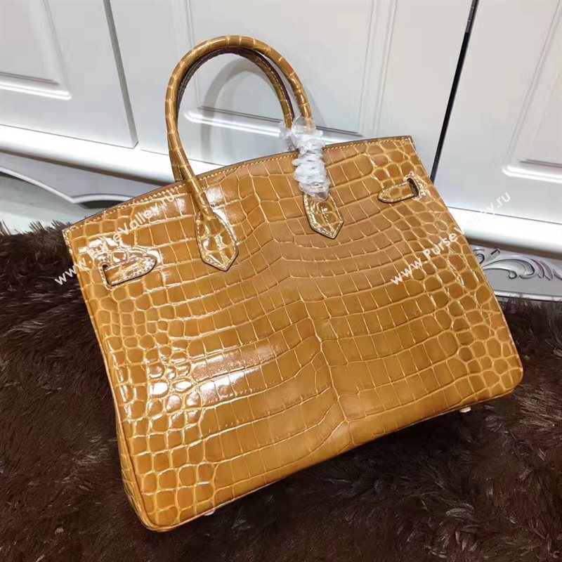 Hermes crocodile Birkin tan purple bag 5249