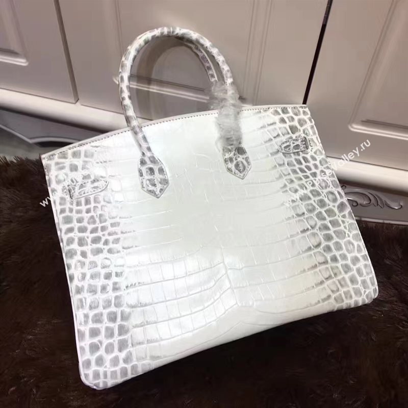 Hermes crocodile Birkin cream paint bag 5251