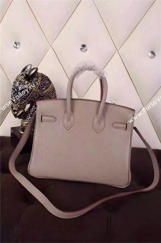 Hermes mini 25cm gray Birkin bag 5207