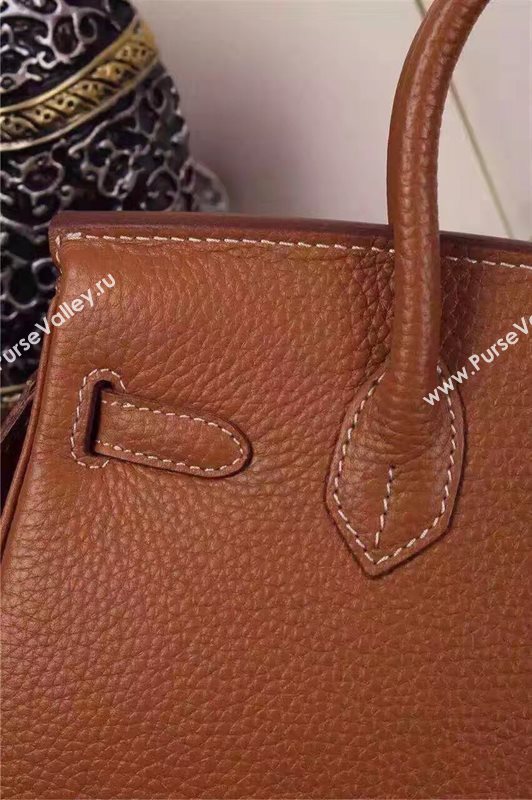 Hermes mini 25cm brown Birkin bag 5208