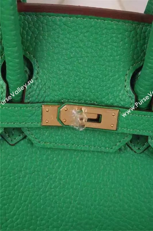 Hermes mini 25cm green Birkin bag 5209