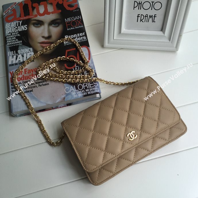 Chanel 33814 leather small woc handbag coffee bag 5618