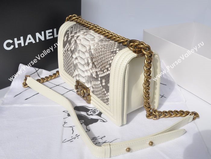 Chanel A66095 python leather medium le boy handbag gray bag 5747