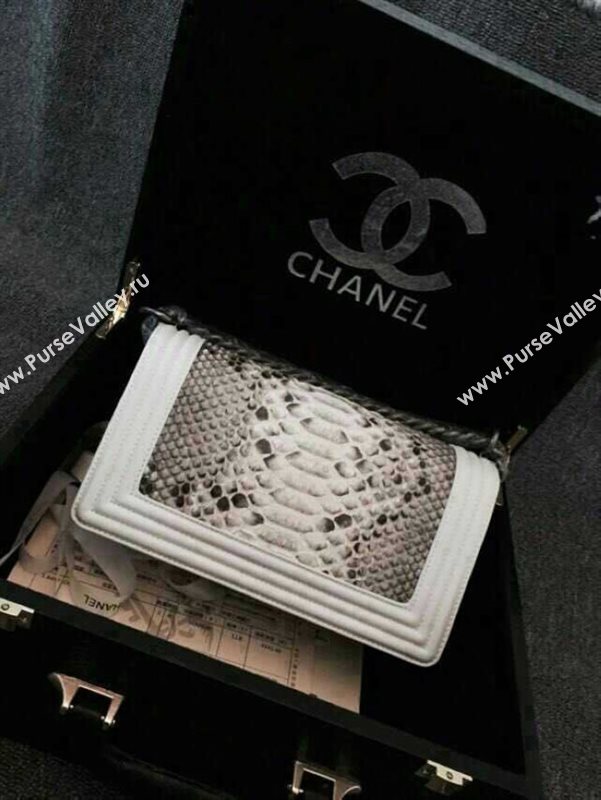 Chanel A66095 python leather medium le boy handbag gray bag 5846