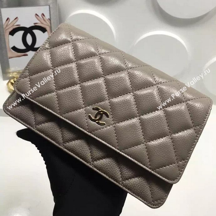 Chanel A33814 caviar lambskin small woc handbag gray bag 5985
