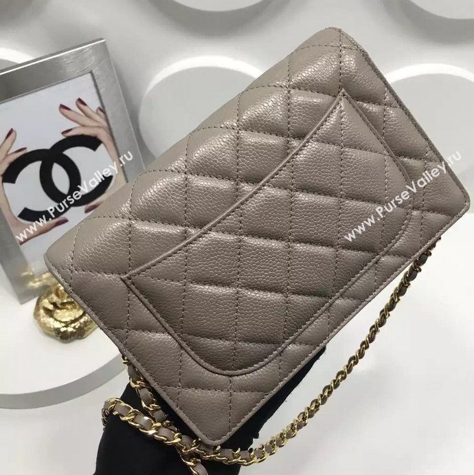 Chanel A33814 caviar lambskin small woc handbag gray bag 5985