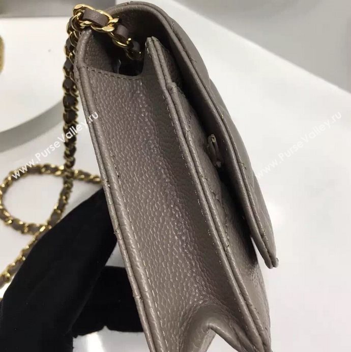 Chanel A33814 caviar lambskin small woc handbag gray bag 5985