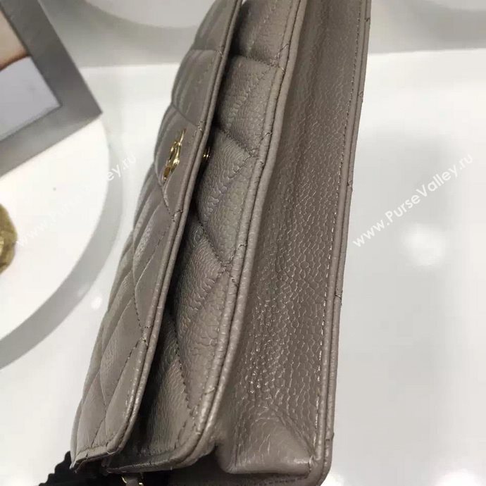 Chanel A33814 caviar lambskin small woc handbag gray bag 5985