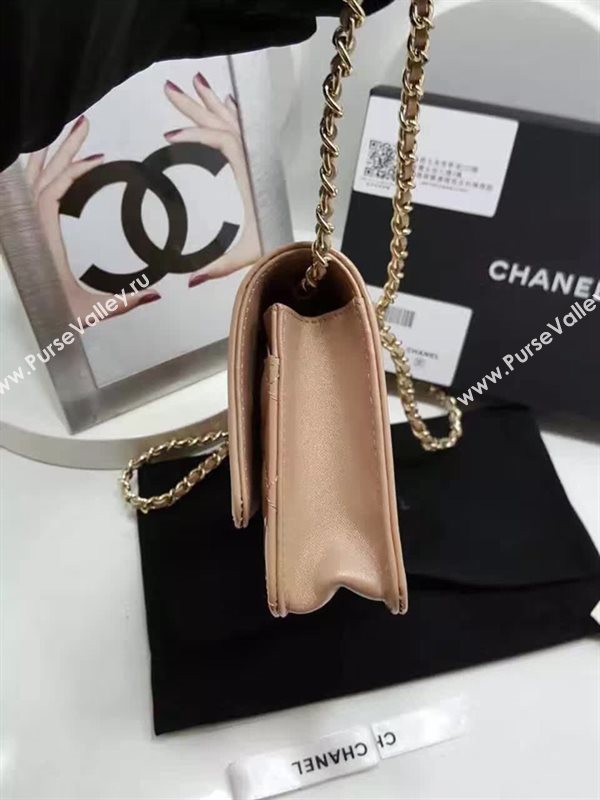 Chanel A80287 paint lambskin small apricot woc bag 6114