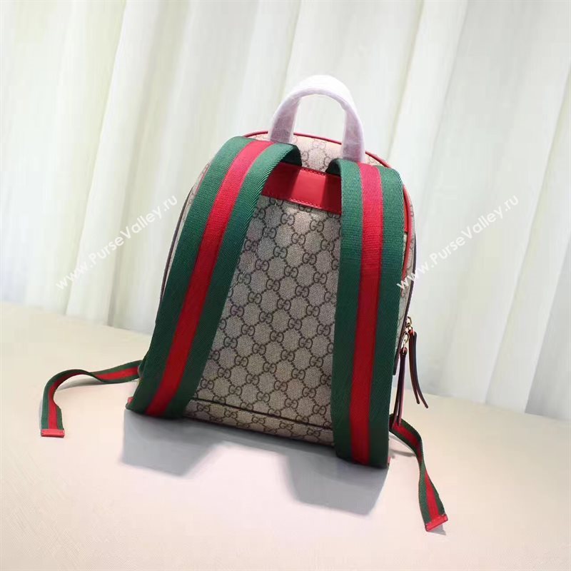Gucci snake backpack flower bag 6256