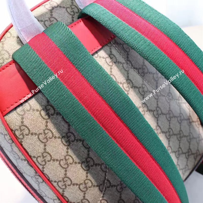 Gucci snake backpack flower bag 6256
