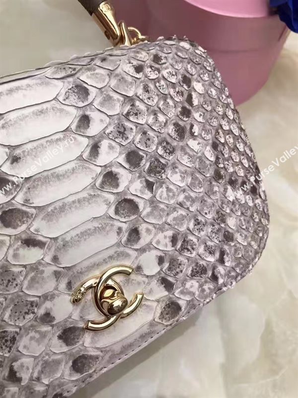 Chanel python small shoulder makeup handbag gray bag 6201