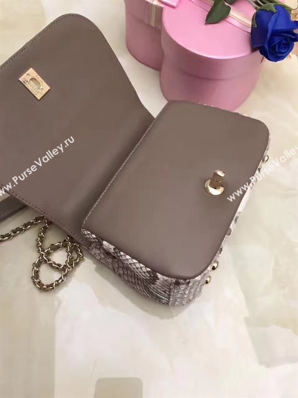 Chanel python small shoulder makeup handbag gray bag 6201