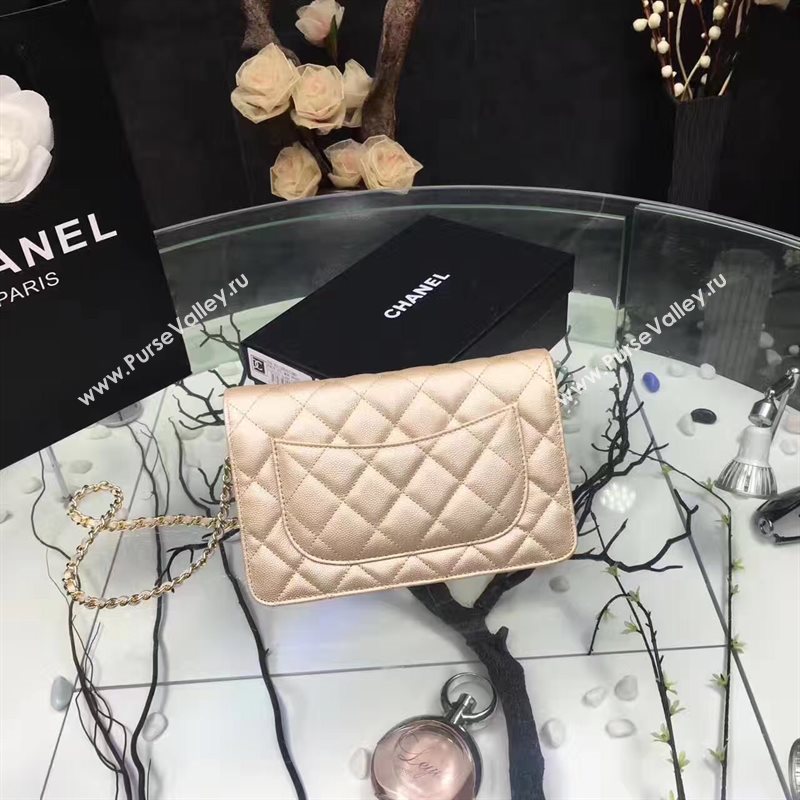 Chanel A33814 small caviar lambskin apricot woc bag 6207