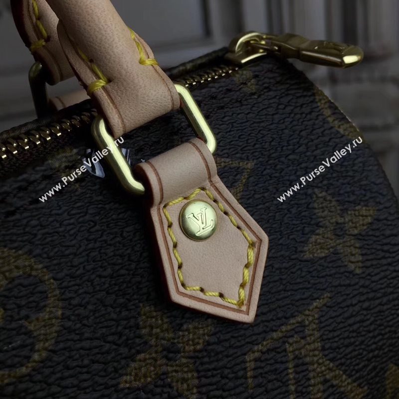 LV Louis Vuitton Nano Speedy Handbag Monogram Shoulder Bag Brown M61252 6807