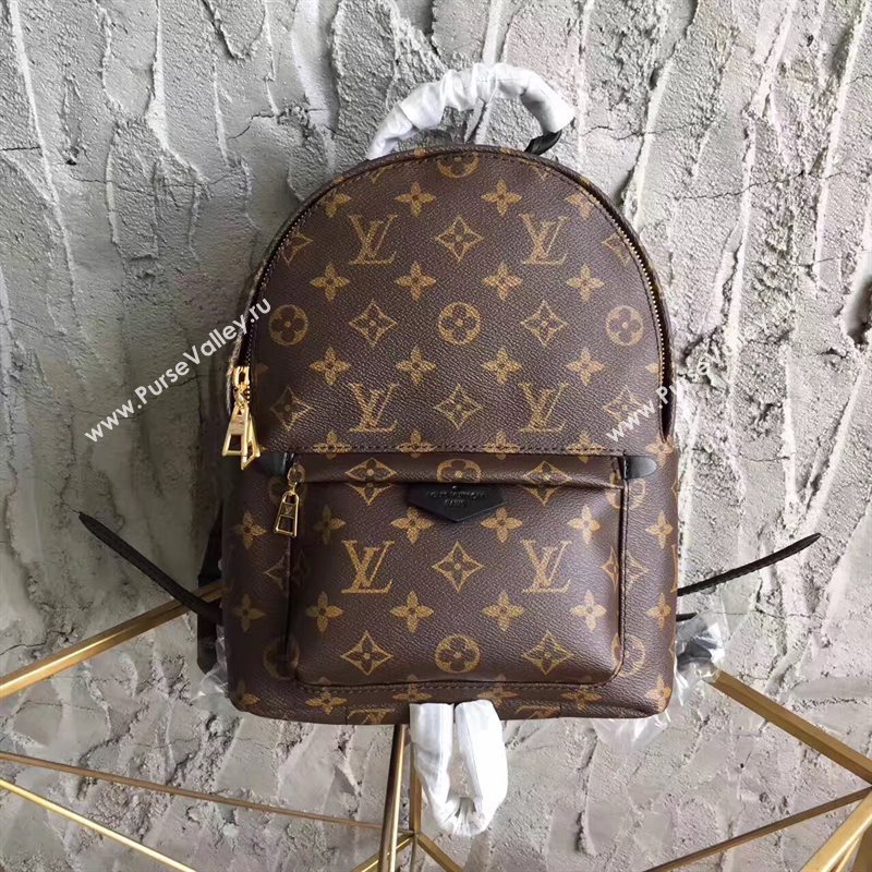 LV Louis Vuitton Monogram Backpack PM Bag Handbag Brown M41560 6821