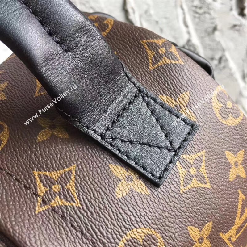 LV Louis Vuitton Monogram Backpack PM Bag Handbag Brown M41560 6821