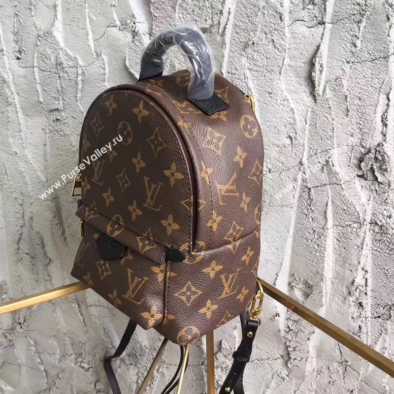 LV Louis Vuitton Monogram Backpack Mini Bag Handbag Brown M41562 6822