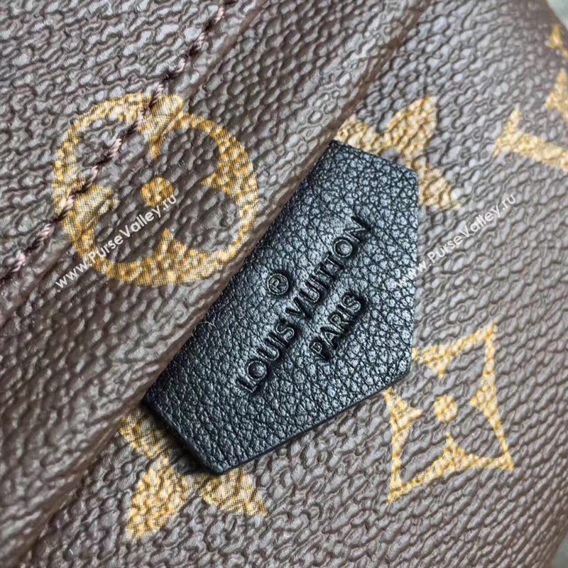 LV Louis Vuitton Monogram Backpack Mini Bag Handbag Brown M41562 6822