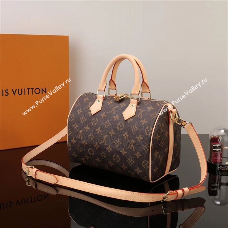 LV Louis Vuitton Speedy 25 Bag M41113 Monogram Handbag Brown