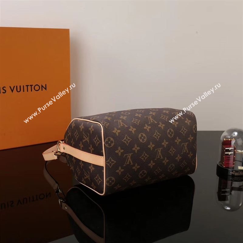 LV Louis Vuitton Speedy 25 Bag M41113 Monogram Handbag Brown